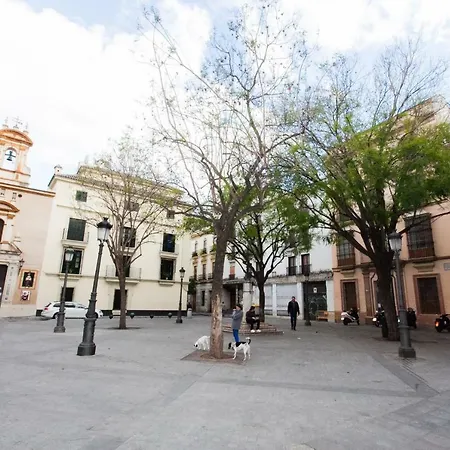 Gotoseville Molviedro Apartamento *